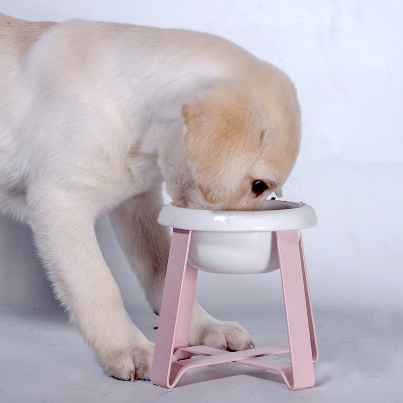 2-in-1 Pet Feeding Bowl with Stand | Non-Slip Cat Feeder