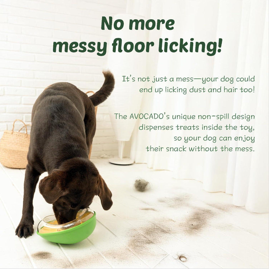 Anti-Tumble Avocado Pet Feeding Bowl | Non-Slip Design