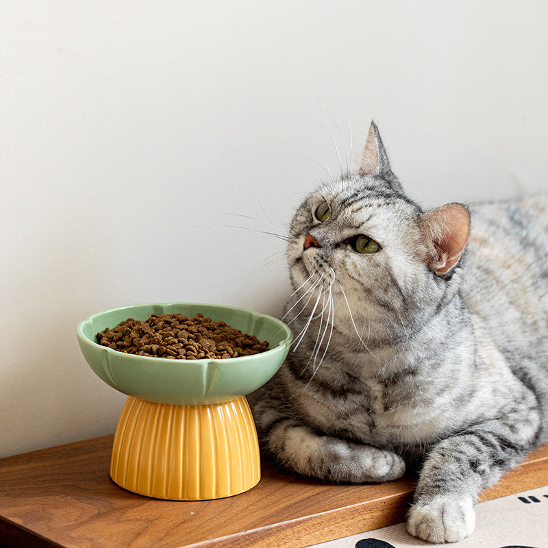 Macaron Ceramic Pet Bowl | Colorful Feeding Dish