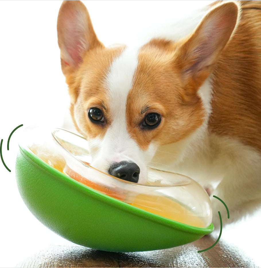 Anti-Tumble Avocado Pet Feeding Bowl | Non-Slip Design