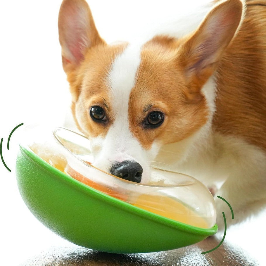 Anti-Tumble Avocado Pet Feeding Bowl | Non-Slip Design